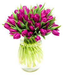 Enter your postcode and select the sunday you wish to deliver on to view which bouquets are available to be sent within london. Tulip Delivery London Fresh From Holland Delivered Nationwide