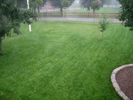 Image result for site:byggahus.se Algomin