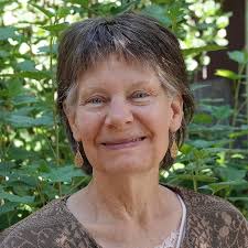 Sustainable Transportation Energy Pathways: A Research Summary for Decision  Makers: Joan Ogden, Lorraine Anderson: 9781466317239: Amazon.com: Books