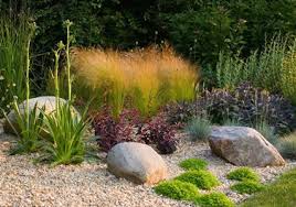 Clare Matthews Gardens Country Garden Landscaping Succulent Garden Landscape Desert Gardening Landscaping