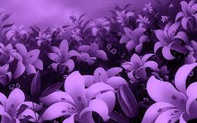 Themes for toradora anime lovers. Violet Wallpapers Group 81