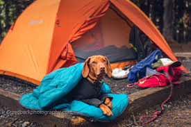 We've been on the hunt for six years, buying and testing over 30 models to bring you 16 of this season's best options. Our Best And Tested Gear For Camping With Dogs The Dog Walks Me