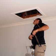 Termite inspection in browns plains. Building And Pest Inspections Logan Beenleigh Inspect My Home