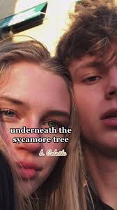Underneath The Sycamore Tree Fancast