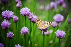 La importancia de la naturaleza para todos - Reciclamas