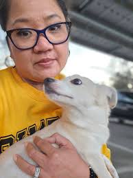 Found dog at Riverwalk in Bakersfield, CA