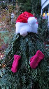 Trellis cedar wood growers bench with trellis christmas tree shops. The Garden Website Com Amanda S Garden Website Blog