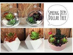 Make a diy driftwood planter for your succulents. 3 Succulent Diy Dollar Tree Home Decor Youtube