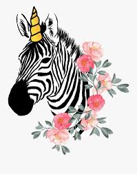 Once you are finished with your unicorn drawing, you can even take it a step further and draw embellishments either on the unicorn itself (on top of back leg is a popular spot) or as it's surroundings. Zebra Flowers Funny L Unicorn Unizebra Drawing Easy Zebra Gave Free Transparent Clipart Clipartkey