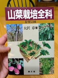 Image result for Oenanthe mildbraedii