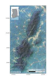 Image result for Orthopichonia seretii