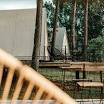 Dpr 31/2017 - le News di professione Architetto