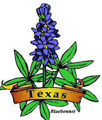 Printable bluebonnet flowers coloring pages Blue Bonnets Cliparts Cliparts Zone