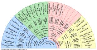 learn about how to build free family tree chart online