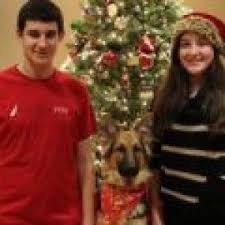 Top keywords % of search traffic. Reviews Testimonials Puppy Pictures Stories Greenfield Puppies