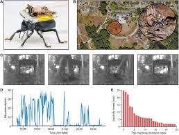 A static magnetic field can cause pacemakers and heart defibrillators to switch into special mode. Wireless Steerable Vision For Live Insects And Insect Scale Robots Science Robotics
