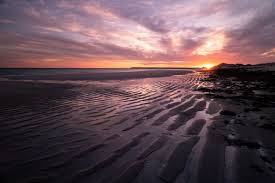 Check spelling or type a new query. Sea Of Cortez Saving The World S Aquarium