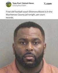 Maize & Blue Sports Fans