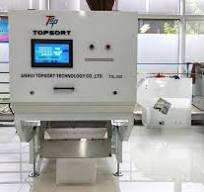 New Design Belt Color Sorter For Cherry Coffee Olive Colour ...