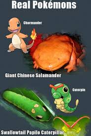 Learning With Pokemon Pokemon Nature Crafts Kids Lessons For Kids