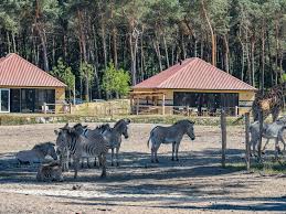 Dit is een unieke ervaring in nederland! 2021 Early Bird Beekse Bergen Offer Little Clogs Holidays Latest Offers
