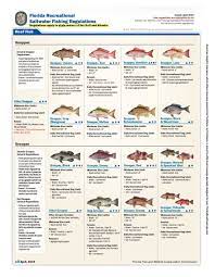 Nj 2021 saltwater regulations summary. Florida Recreational Saltwater Fishing Bag Limits Seasons