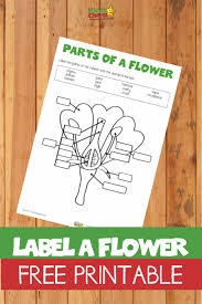 Free printable flower counting practice worksheets pack 3 comments / free printables , kindergarten , math , preschool , printables / by kim / may 21, 2019 december 11, 2020 this post may contain affiliate links, my full disclosure can be read here. Label A Flower Free Printable Kiddycharts Printables