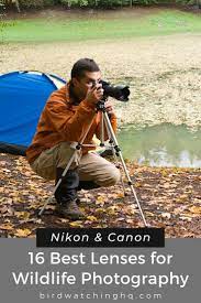 16 Best Lenses For Wildlife Photography Nikon Canon Bird Watching Hq Wildlife Photography Wildlife Photography Lenses