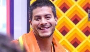 BIG BROTHER BRASIL 22