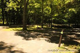 Campsite photo database for max v shaul state park in the catskills / taconic region of new york state. Max V Shaul State Park Campsite Photos Site 30