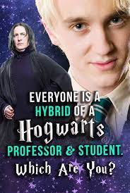 Everyone Is A Hybrid Of A Hogwarts Professor Student Which Are You Harry Potter Quiz Hogwarts Professors Harry Potter Professors