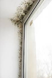 Besonders gern wachsen sie in fugen, etwa auf den silikonfugen zwischen wand und dusche bzw. Schimmel Im Bad Entfernen Putzen Uber 30 Tipps Frag Mutti
