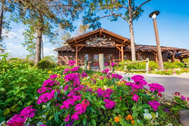 The resort is adjacent to bay lake and the upcoming reflections vacation club resort. Fort Wilderness Resort Campground Review Disney Tourist Blog