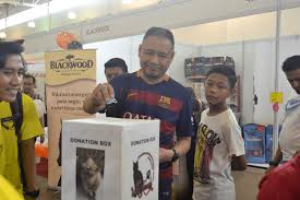 Nurul ain dan suami, muhamad razeef che shamah, 39. 30 Mahasiswa Ccsl Utm Bantu Kucing Terbiar Utm Newshub