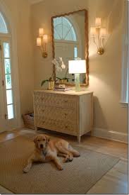 Pill bugs, also known as isopods, have a rounded or almond shape. How Much And What Kind Of Lighting Do You Need Home Decor Family Room