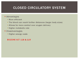 Animal Circulatory Systems Ppt Download