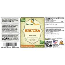Image result for Brucea