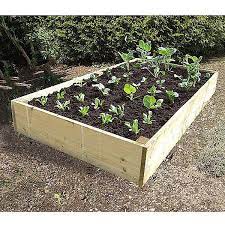 Alibaba.com offers modern wooden vegetable planter for superb agricultural efficiency. Deluxe Extra Deep Wooden Raised Vegetable Bed 1 8x 0 9mtr Raised Vegetable Beds Webbs Garden Centre