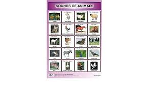 Buy Sounds Of Animals Chart For Kids Animal Sounds Chart