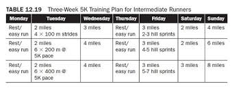 Training Program Considerations For Endurance Runners