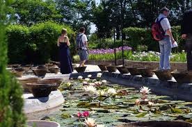 Latour Marliac Le Temple Sur Lot 2020 All You Need To Know Before You Go With Photos Tripadvisor