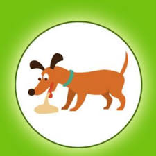 Help My Dog Is Vomiting White Foam Dog Discoveries