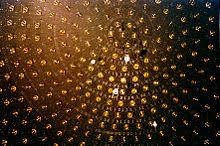 The following document aims to familiarize the reader with detector elements that follow a detector's active volume. Neutrino Detector Wikipedia