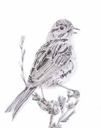 Black And White Printable Bird Pictures Black And White Bird Bird Drawing Sparrow Drawing Bird Etsy Bird Drawings Black And White Birds Bird Illustration