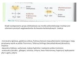 Przejdź do nawigacji przejdź do wyszukiwania. Weglowodany Cukrowce Sacharydy Ppt Pobierz
