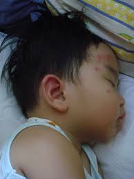 Update selama di pku + turbulence