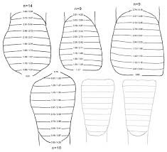 Enamel Growth Charts For Neandertal Anterior Teeth In This