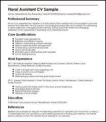 A number of documents are available here to guide you through the. Cv Template Job Centre Good Cv Resume Examples Cv Examples