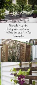 Blumenkasten Mit Rankgitter Bepflanzen Welche Pflanzen Fur Den Rankkasten Plants Obi Blumenkastenholz Pflanzkasten Gart In 2020 Rankgitter Blumenkasten Pflanzen
