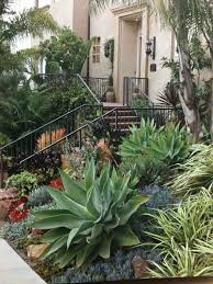 Welcoming Garden Of Succulents Palms And Other Lush Plants Greet Visitors Agave Attenuata Succulent Landscaping Succulent Landscape Design Landscape Design